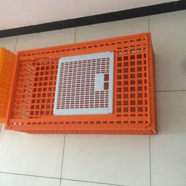 Quality 98cm Plastic Chicken Transport Box for sale