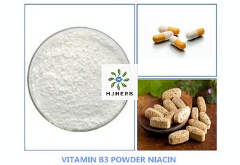 water-soluble vitamin Niacin Vitamin B3 Powder Vitamin PP herbextract-powder.com