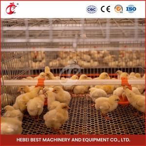 Buy cheap Poultry Farm Automatic Pullet Chick Brooder Cage For Day Old Layer Chicken Ada from wholesalers