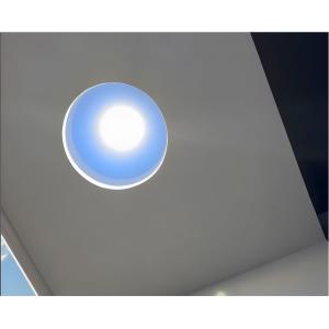 Ø600*H380mm White Artificial Light Panel For Versatile Indoor Lighting Solutions