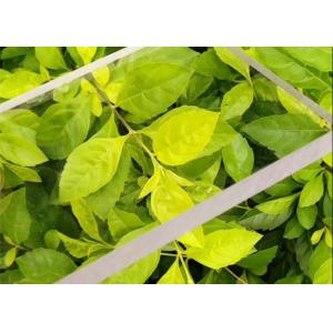 Polymethyl Methacrylate PMMA 2mm 3mm 5mm 6mm 8mm Clear Acrylic Sheets Crystal