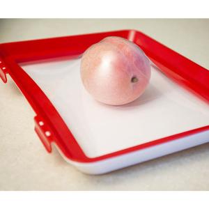 Buy cheap Freezer Safe 20x22.5cm PP Food Preservation Clever Tray from wholesalers