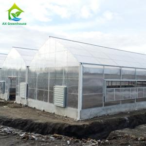 Buy cheap Plants Cultivation Single Span Polycarbonate PC Sheet Greenhouse with Stable Structure and Easy Assembly from wholesalers