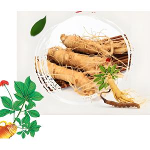 China High Purity Rare Ginsenoside Ck Ginsenoside Compound K on sale