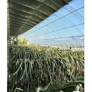 Buy cheap Multi-Span Venlo Glass Greenhouse with Cocopeat Hydroponics System and Customization from wholesalers