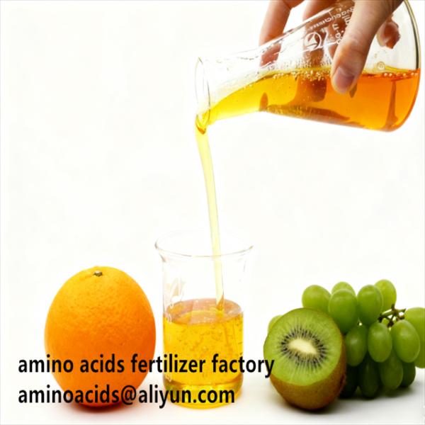 Hydrolyzed Amino Acid Liquid Fertilizer 80% Promotes Crop Root Development