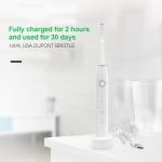 Buy cheap SCCP Rechargeable Electric Sonic Toothbrush Ultralight IPX7 Waterproof from wholesalers