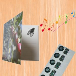 Buy cheap Recordable voice module for greeting card music sound talk chip musical product