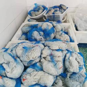 Buy cheap Easy To Digest Sheep Sausage Casing 24mm Good Air Permeability from wholesalers