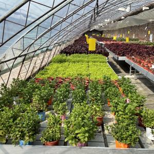 Buy cheap Automatic Air Circulation Solar Passive Greenhouses Customized from wholesalers