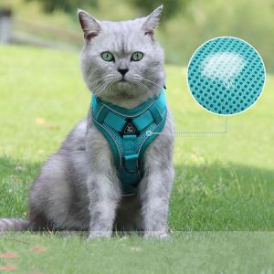 Buy cheap Adjustable Breathable Dog Vest Safety 1.5m Traction Leash No Pull Dog Harness Set Personalized for Safe and Stylish Walks from wholesalers