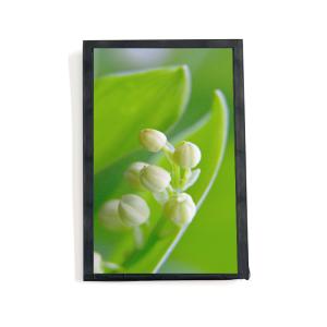Buy cheap 7 Inch High Brightness LCD Display 2000nits 40 Pin MIPI Interface IPS TFT LCD Module from wholesalers