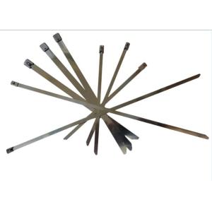 Buy cheap As Customers Design Coated Stainless Steel Cable Ball Lock Cable Tie from wholesalers