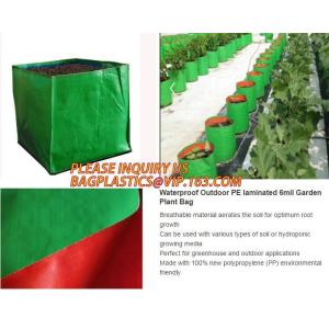 Garden Grow Bags Aeration Fabric Pots Potato Planter Bag with Handles and Access