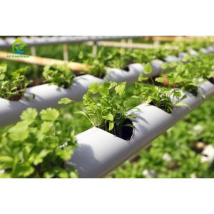 Buy cheap Soilless Cultivation NFT Hydroponic System For Celery Parsley from wholesalers