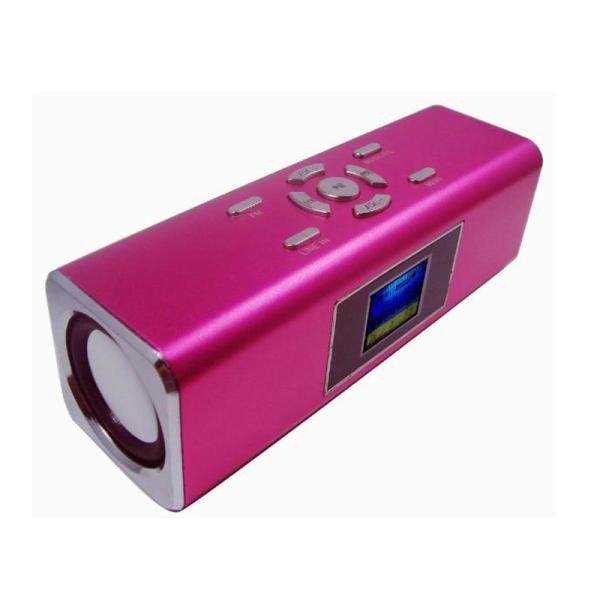 1.4*LCD screen mini professional speaker Built-in rechageable Lithium battery BT