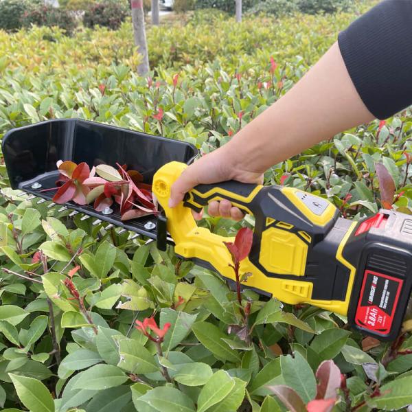 Buy cheap Rechargeable Brushless Electric Portable Tea Harvester Picker Harvester from wholesalers