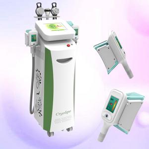 Buy cheap Multifunction cryolipolysis slimming fat freezing cryolipolysis slimming machine with CE from wholesalers