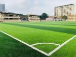 Buy cheap Artificial Football Grass Synthetic Turf For Soccer Field Floor Artificial Grass from wholesalers