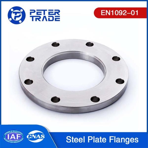SS 304/304L SS316/316L EN1092-01 Stainless Steel Plate Flanges PN 10 PLFF For