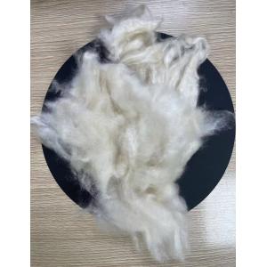 Buy cheap Strong and Durable Sustainable Kapok Fiber from wholesalers