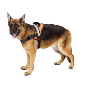 Hassle Free Chest LED Dog Harness Double Security M L XL 7 Colors Optional