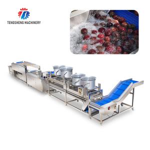 Revolutionize Your Production Process with Our Fruit And Vegetable Processing