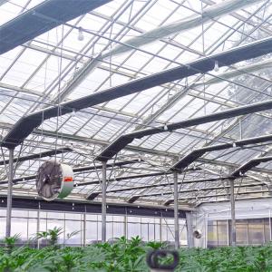 Buy cheap Polymethine Inflatable Automated Light Dep Greenhouse With Rolling Blackout from wholesalers