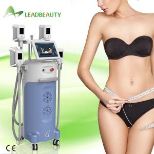 Buy cheap Strong cooling system Fat Freezing body shaping Cryolipolysis slimming machine from wholesalers