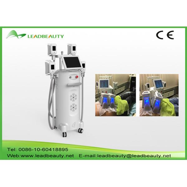 Quality Top tech 4 handpieces fat freezing fat removal cryolipolysis system beauty machine for sale