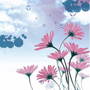 Window curtain printed roller blinds and fabric/Motorized roller blinds for