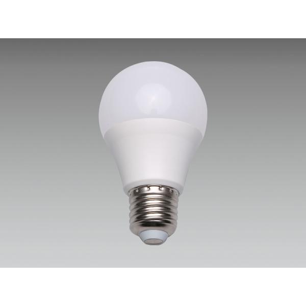 Buy cheap 5W 6W LOW VOLTAGE LED Lamp Bulb A19 AC12-60V DC12-80V SEC-L-BX126 for NIGHT MARKET SHIP from wholesalers