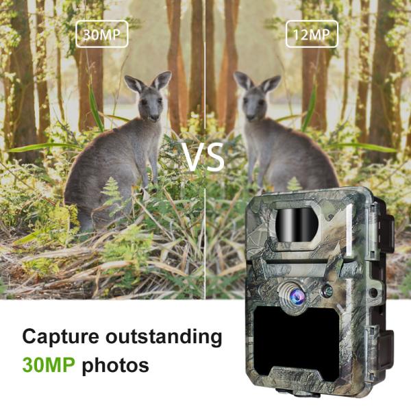 China Customizable HD Hunting Cameras for Wildlife Scouting with 512GB Memory Card Support on sale China Customizable HD Hunting Cameras for Wildlife Scouting with 512GB Memory Card Support on sale