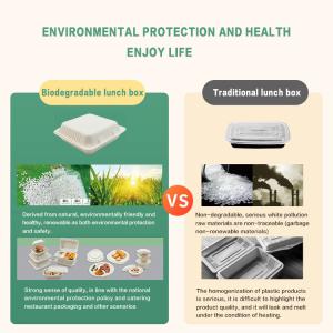 Buy cheap Biodegradable Food Packaging Compostable Tableware Bagasse from wholesalers