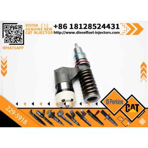 Buy cheap New Common Rail Fuel Injector 223-5328 229-5918 20R-0055 10R-0725 for C12 Diesel Engine from wholesalers