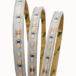 3000K 4000K 6500K 12 Volt LED Flexible Light Strips 24V SMD2835 Smart Dual 2