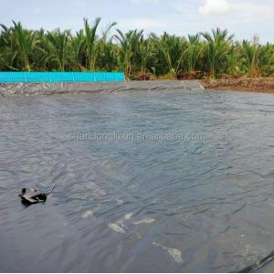 Industrial Design Style Hdpe Geomembrane Pond Liner with Waterproof Impermeable