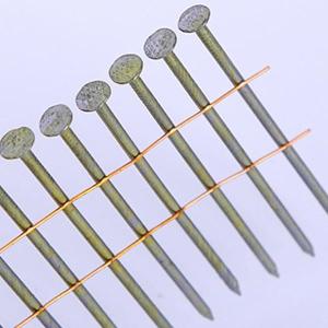 Wire Collated Screw Ring Smooth Wood Pallet Coil Nail