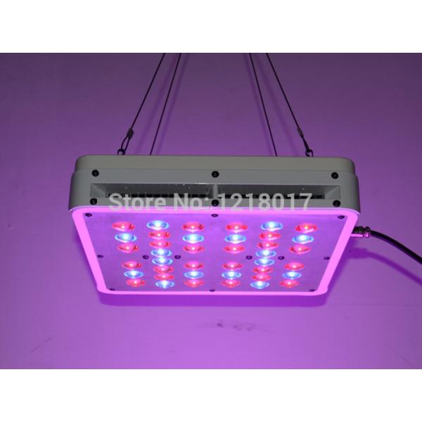 Quality 140W hydroponics led grow light with 5 watt leds for sale