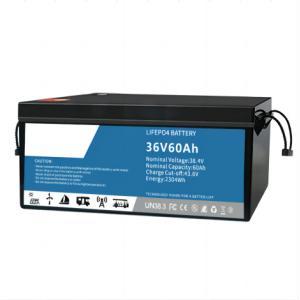 Buy cheap Multiscene EV Lithium Iron Phosphate Battery IP55 Waterproof With BMS from wholesalers