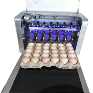 Buy cheap Digital Egg Marking Equipment / Egg Date Stamp Machine For Duck or Pineal Eggs from wholesalers