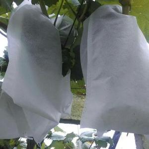 Buy cheap Anti UV Fruit Tree Protection Bags , Spunbond Nonwoven Bags To Cover Fruit On Trees product