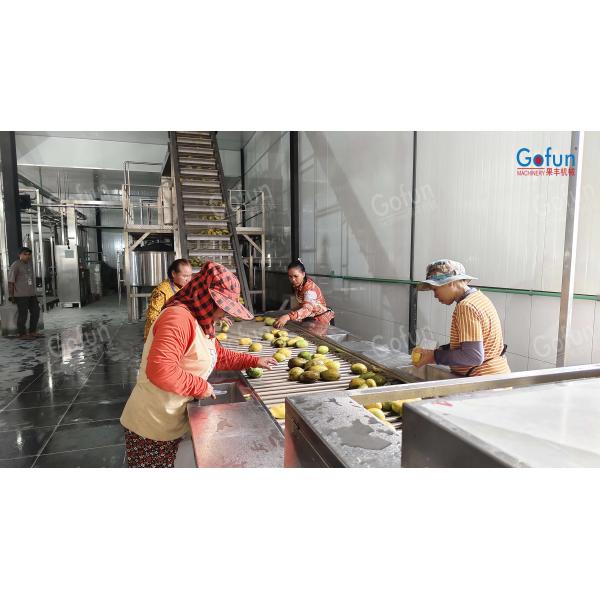 Buy cheap Automatic Vegetable Juice Processing Plant Complete Set Of Machines For Cleaning , Juicing , Sterilization And Filling from wholesalers