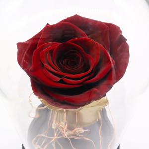 Eternal Handmade Design Preserved Rose Glass Dome With Bluetooth Speaker