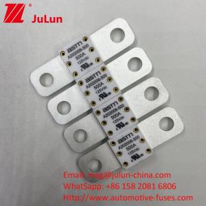 ASTM 300A 125VDC Automotive Battery Fuse Universal Compatibility