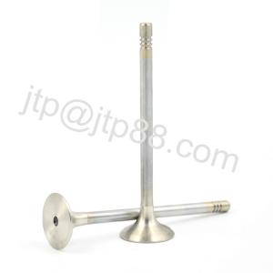 China Mitsubishi 6BD Diesel Engine Valve / Intake Exhaust Valve 30004-23101/30004-31101 on sale