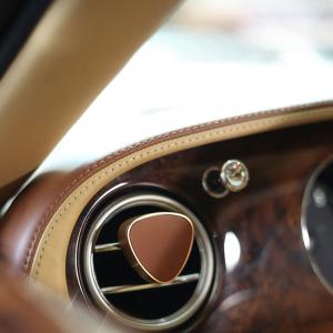 Rose Gold Auto Perfume Diffuser Organic Custom Classic Style Anodized