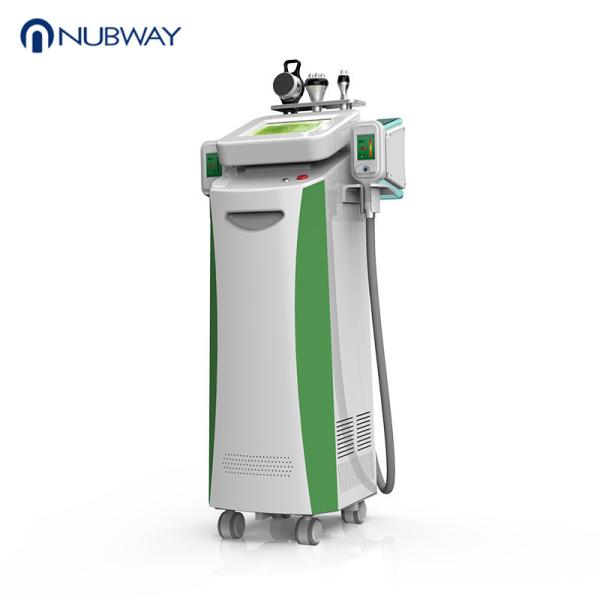 5 in 1 Multi Function Freezing Fat Removal Body Slimming Machine System