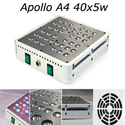 Quality 5Watt chip led grow light Indoor led Lights factory price for tomatos &greenhouse&Hydropon for sale