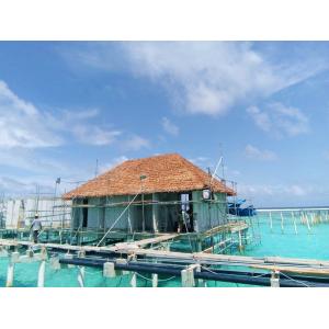 Buy cheap Customized Plastic Artificial Thatched Roof Simulation Decoration for in Modern Style from wholesalers